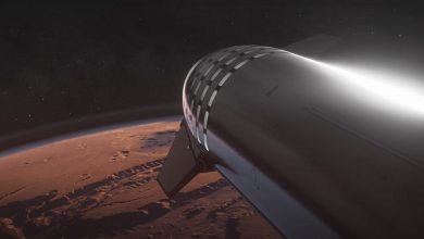 Starship mars