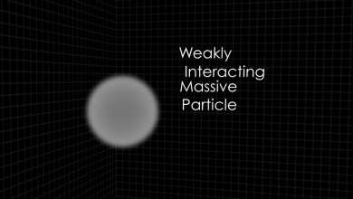 WIMPs—Weakly Interacting Massive Particles