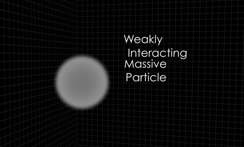 WIMPs—Weakly Interacting Massive Particles