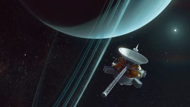 Uranus Orbiter and Probe