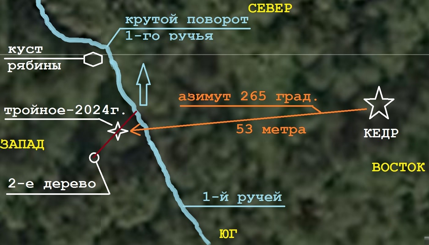 Рисунок 3 Карта района поисков