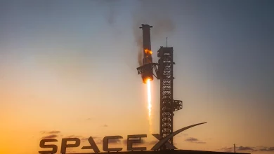 SpaceX ставит амбициозную цель: 25 полетов Starship в 2025 году