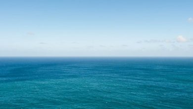 открытое море, океан