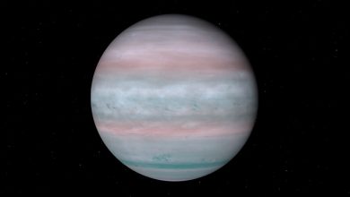TOI-6054 b