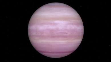 WASP-166 b — экзопланета типа Нептуна, вращающаяся вокруг звезды F-типа.