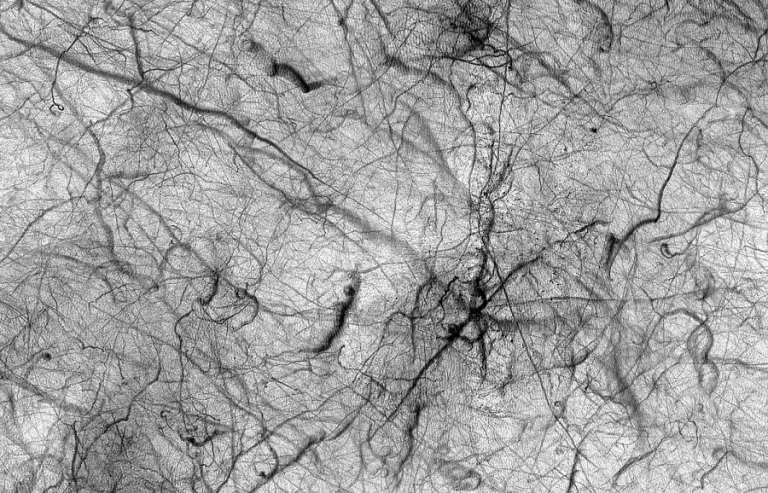 Следы пылевых вихрей на Марсе