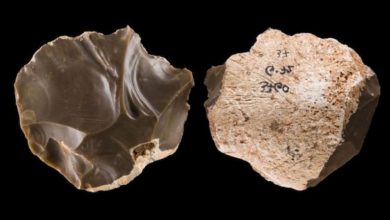 Леваллуазское каменное ядро.