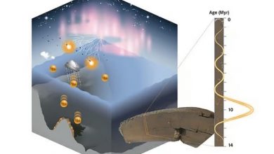 Схематическое изображение производства и включения космогенного бериллия