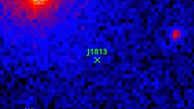 Изображение J1813