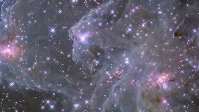 Инфракрасное изображение эмиссионной туманности Sh2-284