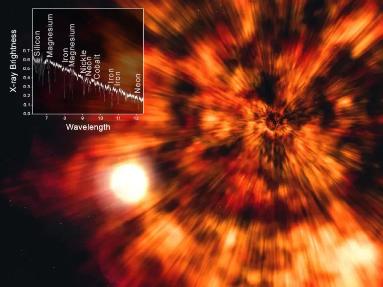 На иллюстрации художника изображены звезда и черная дыра в системе под названием GRO J1655-40.