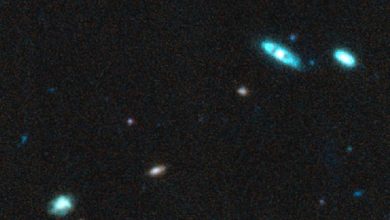 Наблюдаемые мегагалактики