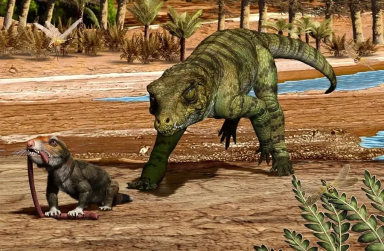 Hemiprotosuchus leali