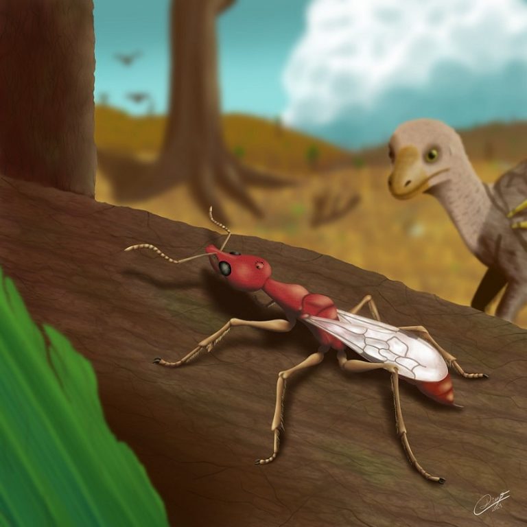 Палеохудожественная реконструкция