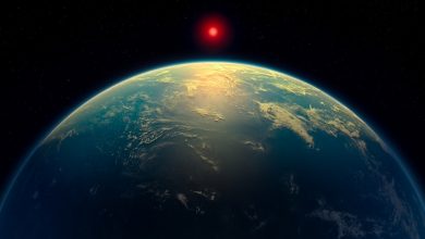 Экзопланета K2-18b в представлении художника