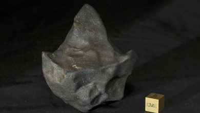 метеорит Агуас Заркас