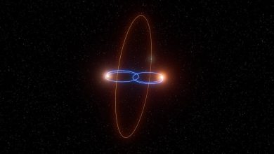 2M1510 (AB) b, планета на перпендикулярной орбите вокруг двух коричневых карликов
