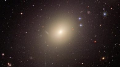 эллиптическая галактика ESO 325-G004