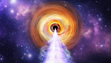 Блазар BL Lacertae