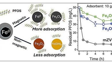 Железный порошок оказался эффективен в удалении PFOS