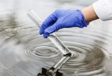 Биоочистка: экологичная технология восстановления грунтов после нефтеразливов