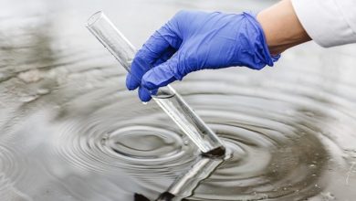 Биоочистка: экологичная технология восстановления грунтов после нефтеразливов
