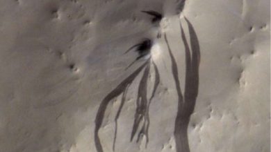 Камера CaSSIS на борту ExoMars Trace Gas Orbiter ЕКА запечатлела темные пальцеобразные полосы склона, простирающиеся по пыльной поверхности Марса в Arabia Terra.