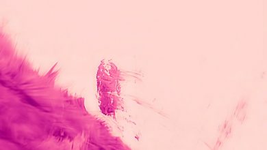 изображение протуберанца над поверхностью Солнца