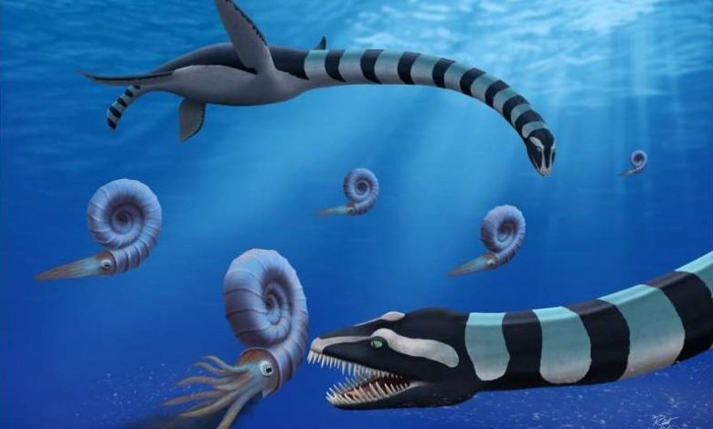 Traskasaura sandrae