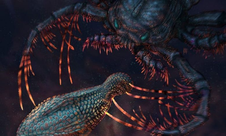 astraspis vs megalograp