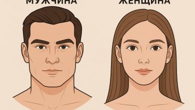Чем отличается мужское лицо от женского?
