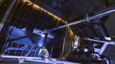 Детектор LHCb
