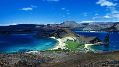 Галапагосские острова (второе название — архипелаг Колон)