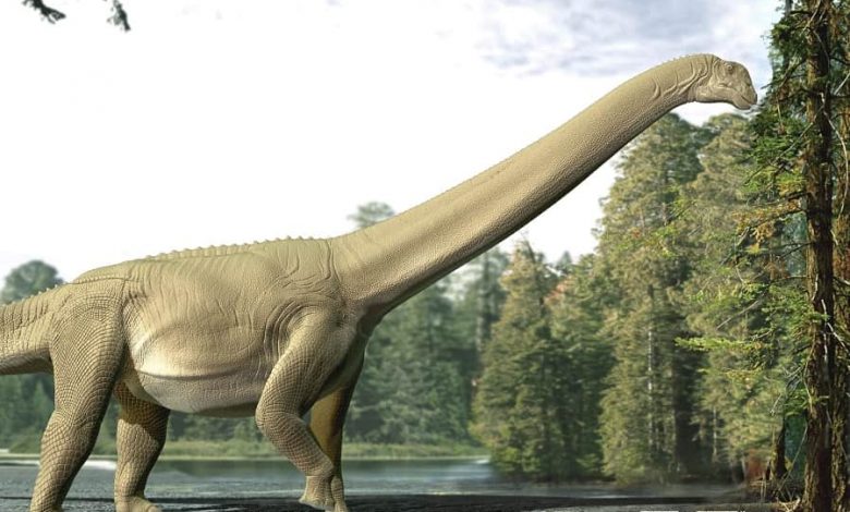 Diamantinasaurus matildae