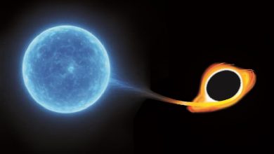 1 / 1Несчастная массивная звезда приближается к сверхмассивной чёрной дыре.