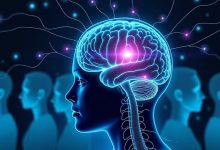 Раскрыты новые нейронные механизмы распознавания лиц