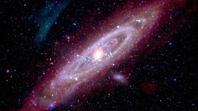 M31 Туманность Андромеды