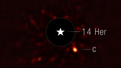 изображение экзопланеты 14 Herculis c