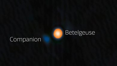 Астрономы обнаружили звезду-компаньон возле Бетельгейзе