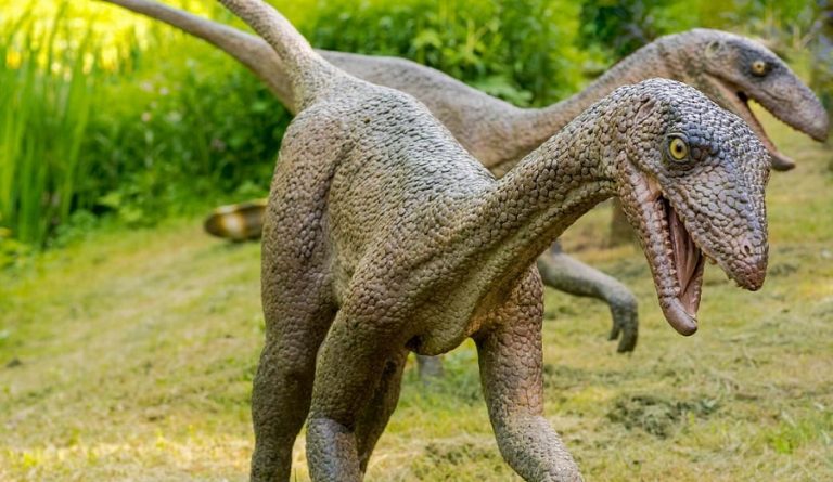 родственники силезавра