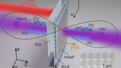 Рисунок поляризационной запутанности на метаповерхности InGaP.