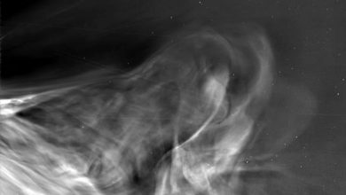 Parker Solar Probe
