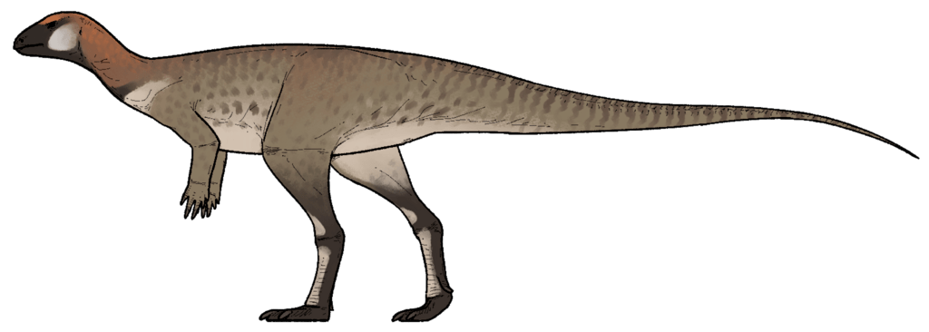 Pulaosaurus qinglong Pulaosaurus qinglong