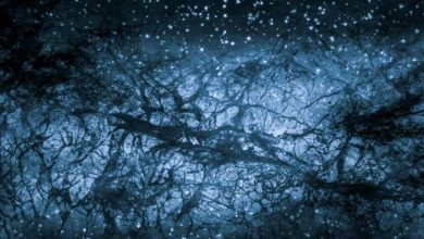 темная материя