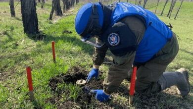 Очистка территории от ВОП