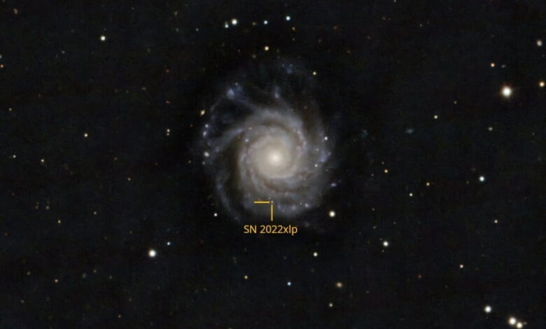 SN 2022xlp находится в галактике NGC 3938.