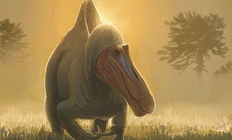 Реконструкция Camarillasaurus cirugedae