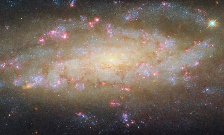 галактика NGC 7456