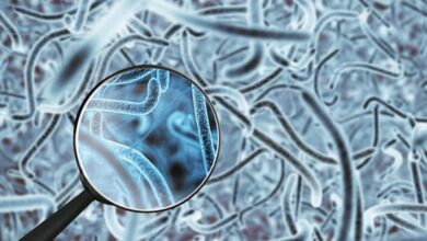 бактерии микробиом