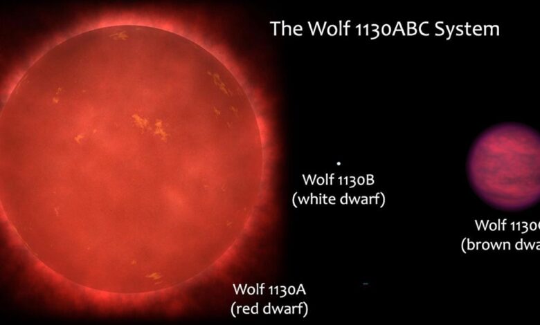 Схема тройной системы Wolf 1130ABC